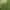 https://res.cloudinary.com/billionhands/image/upload/v1782153903/items/cwety7u0sq4orjpdwbwl.jpg-2cover