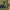 https://res.cloudinary.com/billionhands/image/upload/v1782159823/items/cvr8kar5wqiimqmkc1n9.jpg-2cover