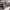 https://res.cloudinary.com/billionhands/image/upload/v1782162721/items/lb3j3izhsl8rb4cup9v4.jpg-0cover