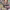 https://res.cloudinary.com/billionhands/image/upload/v1782162727/items/c0rkscudjzq264dgiyqj.jpg-1cover