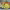 https://res.cloudinary.com/billionhands/image/upload/v1782164721/items/bxufpf5d2hedzhm0l4aw.jpg-0cover