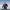 https://res.cloudinary.com/billionhands/image/upload/v1782164952/items/iu4i8cbnspjwd5delkgg.jpg-3cover