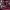 https://res.cloudinary.com/billionhands/image/upload/v1782168498/items/ct4oiqojvtv7ix56tsww.webp-3cover