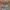 https://res.cloudinary.com/billionhands/image/upload/v1782168536/items/ydaoeebftferde6kghu0.jpg-1cover