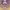 https://res.cloudinary.com/billionhands/image/upload/v1782169025/items/lzcktlsebca01zacgzym.webp-1cover