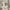 https://res.cloudinary.com/billionhands/image/upload/v1782169169/items/b5kvazuomexzmie3cedn.webp-2cover