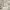 https://res.cloudinary.com/billionhands/image/upload/v1782169170/items/duluvstmewgppgojg3lb.webp-3cover