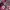 https://res.cloudinary.com/billionhands/image/upload/v1782169853/items/ecrm7xj2areerx1caz43.jpg-0cover
