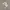 https://res.cloudinary.com/billionhands/image/upload/v1782170389/items/fkych1vuqsdkcdidhyyo.jpg-0cover