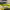 https://res.cloudinary.com/billionhands/image/upload/v1782171321/items/t3sayewfvxhjaxsvda1m.jpg-1cover