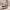 https://res.cloudinary.com/billionhands/image/upload/v1782171758/items/nttfymvopnlqg72wzdii.webp-1cover