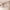 https://res.cloudinary.com/billionhands/image/upload/v1782172447/items/pxhjkemns1kkd7wldgtq.webp-1cover