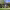 https://res.cloudinary.com/billionhands/image/upload/v1782173681/items/e3niumeubkrf5z2kkz4q.jpg-0cover