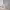 https://res.cloudinary.com/billionhands/image/upload/v1782175416/items/rzk91kob7y2cqmicgi1u.webp-3cover