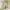 https://res.cloudinary.com/billionhands/image/upload/v1782177830/items/e3zhvtianoawkdypaulq.webp-3cover