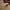 https://res.cloudinary.com/billionhands/image/upload/v1782177833/items/xqm5x8sbvy1lojur5rd0.jpg-2cover