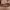 https://res.cloudinary.com/billionhands/image/upload/v1782179033/items/fv1gksbasqwx1wibhocu.jpg-2cover