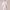 Sheraton Store Microfiber Robe cover