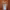 https://res.cloudinary.com/billionhands/image/upload/v1782180535/items/j1ca7hxefnutl4yxapmw.webp-2cover