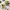 https://res.cloudinary.com/billionhands/image/upload/v1782182072/items/lzrxylrlgws7y6ycsosl.avif-3cover