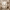 Warm Wood and Soft Textures Bathroom cover