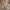 https://res.cloudinary.com/billionhands/image/upload/v1782190185/items/vvszcnsksd1nw6d5vb4s.avif-0cover