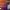 https://res.cloudinary.com/billionhands/image/upload/v1782191373/items/ewdnk5lperpqymorqrja.jpg-1cover