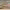 https://res.cloudinary.com/billionhands/image/upload/v1782193263/items/dutnmrrvrmjad7tzigpd.jpg-3cover