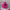 https://res.cloudinary.com/billionhands/image/upload/v1782196091/items/l6cqhkwvoyypldlqnlgv.jpg-3cover