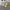 https://res.cloudinary.com/billionhands/image/upload/v1782198003/items/hg9gfktjmhagrfancatm.webp-2cover