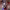 https://res.cloudinary.com/billionhands/image/upload/v1782198005/items/ww2pr27u2u9igqwb2dke.jpg-2cover