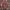 https://res.cloudinary.com/billionhands/image/upload/v1782201288/items/lvsasz0jaqg4iir3rrqv.jpg-2cover