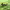 https://res.cloudinary.com/billionhands/image/upload/v1782206815/items/e2x3mim94akxjwdj4xsq.jpg-3cover