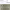 https://res.cloudinary.com/billionhands/image/upload/v1782207998/items/nefsdxulvhurd0qyldg2.jpg-0cover