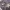 https://res.cloudinary.com/billionhands/image/upload/v1782208286/items/weijw9hhl3mapfvlqn1n.jpg-3cover