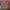 https://res.cloudinary.com/billionhands/image/upload/v1782208290/items/f7o8pq5kue96gdznf1f8.jpg-0cover