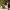 The Dog. Ethology, Education, and Behavioral Problems - Eduardo Rodríguez cover
