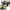 https://res.cloudinary.com/billionhands/image/upload/v1782215705/items/dfphpd3v2rus8efpmsty.webp-0cover