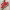 https://res.cloudinary.com/billionhands/image/upload/v1782216060/items/rfxqfphpqiyxudmnxuzk.jpg-0cover