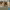 https://res.cloudinary.com/billionhands/image/upload/v1782218299/items/f4bthe53f1avgk9austf.jpg-0cover