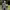https://res.cloudinary.com/billionhands/image/upload/v1782219260/items/zr9fhxroczm2tj0jzzcm.jpg-2cover