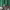 https://res.cloudinary.com/billionhands/image/upload/v1782220213/items/tlootetdlyxtkldhhyhd.webp-3cover