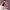 https://res.cloudinary.com/billionhands/image/upload/v1782221142/items/pkrnip6lxypkqkssvd0a.webp-2cover