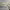 https://res.cloudinary.com/billionhands/image/upload/v1782221360/items/cr3zamydjzybxuaxvnwc.webp-0cover