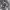 https://res.cloudinary.com/billionhands/image/upload/v1782221369/items/itohtgedruhhcp5dzimf.jpg-3cover