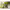https://res.cloudinary.com/billionhands/image/upload/v1782224298/items/ugiypb5f0vs9geylnjnk.webp-3cover