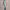 https://res.cloudinary.com/billionhands/image/upload/v1782225688/items/vkdetuc4bbgd1qplxtnx.webp-2cover