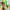 https://res.cloudinary.com/billionhands/image/upload/v1782229287/items/xhcr99114ulmlnb2lsi2.webp-3cover