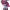 https://res.cloudinary.com/billionhands/image/upload/v1782232974/items/rpagaiefzncfgpj2tf9y.png-3cover