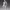 https://res.cloudinary.com/billionhands/image/upload/v1782232978/items/pprag7wompnvoyrv05dk.webp-1cover